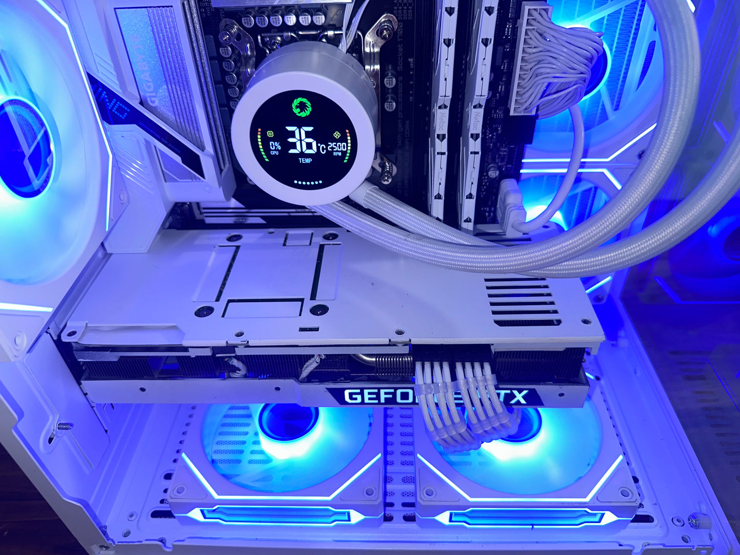 ❄️ Frost Nova | RTX 3080 White | i5-14600K |32gb Blazing Ram| 240mm Display AIO
